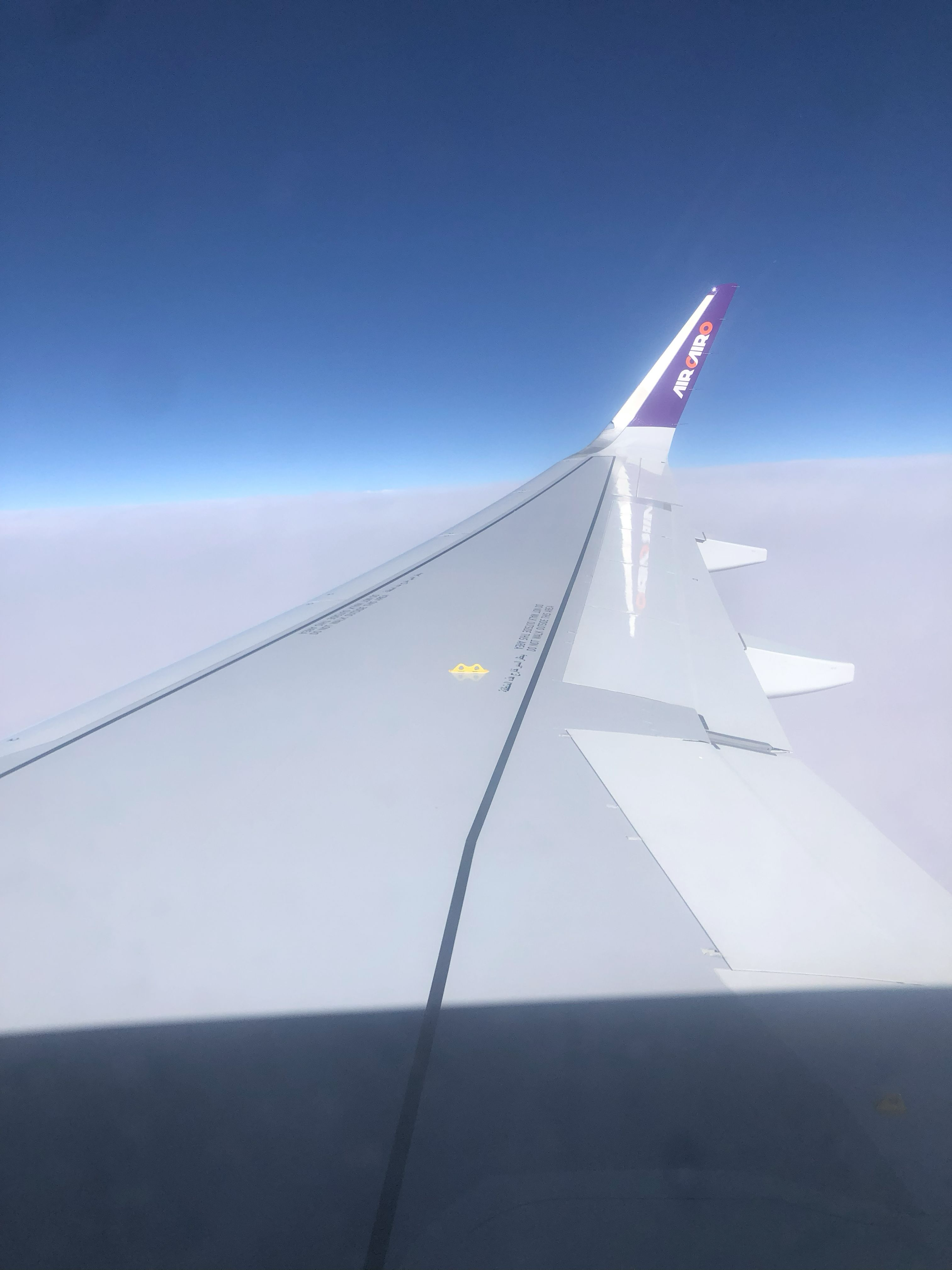 Aswan 2025 Celebration